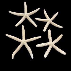 4 Beautiful White Finger Starfish Beach Wedding Coastal Decor Arts & Crafts